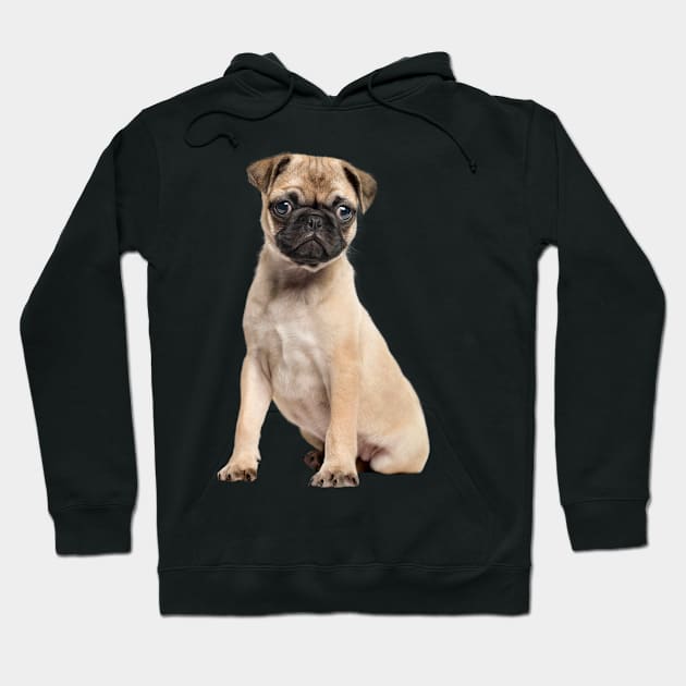 Pug - Gift For Pug Owner Dog Lover Hoodie by HarrietsDogGifts